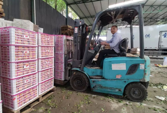 蒲江柑橘加工场地经济模式升级 标配地磅、叉车、冷库等设备